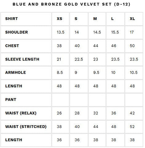 AMMARA KHAN RENDEZVOUS’24 | BLUE AND BRONZE GOLD VELVET SET