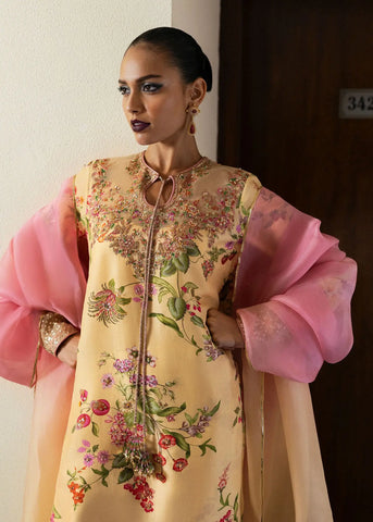 HUSSAIN REHAR LUXURY PRET ‘BASIC NOT BASIC’24 | ASHER