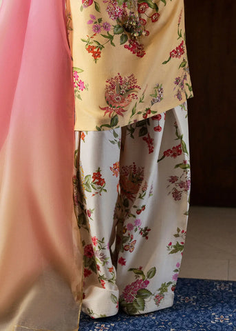 HUSSAIN REHAR LUXURY PRET ‘BASIC NOT BASIC’24 | ASHER