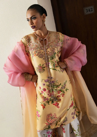HUSSAIN REHAR LUXURY PRET ‘BASIC NOT BASIC’24 | ASHER