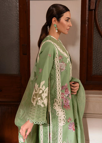 CRIMSON WINTER UNSTITCHED’24 | GULBAAN