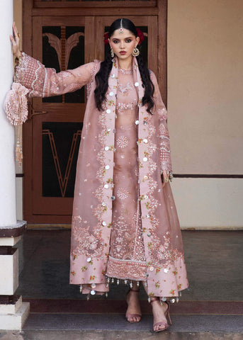HUSSAIN REHAR ‘DARLINGS FESTIVE’25 | DANARA