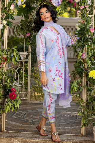 FARIDA HASAN ‘PICNIC BASICS’25 | BREEZY BLUE SET