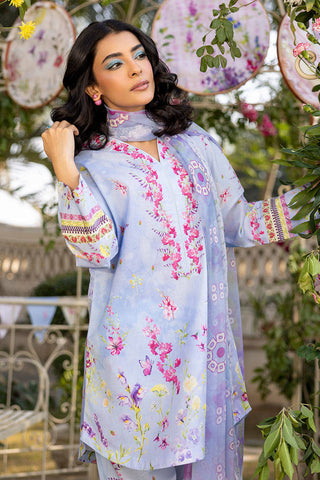 FARIDA HASAN ‘PICNIC BASICS’25 | BREEZY BLUE SET