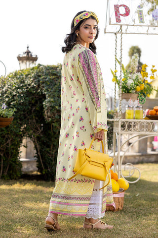 FARIDA HASAN ‘PICNIC BASICS’25 | CITRUS BLOOM