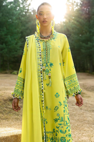 ZAHA ‘NEELAM LAWN’25 | ELAYA