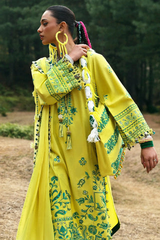 ZAHA ‘NEELAM LAWN’25 | ELAYA