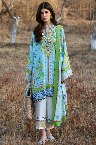 ZAHA ‘NEELAM LAWN’25 | DAHLIA