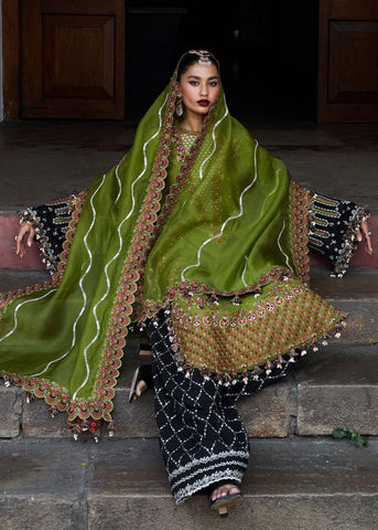 HUSSAIN REHAR LUXURY LAWN’25 | ABASS